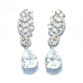 Crystal Branch Earrings with Dangling Gems